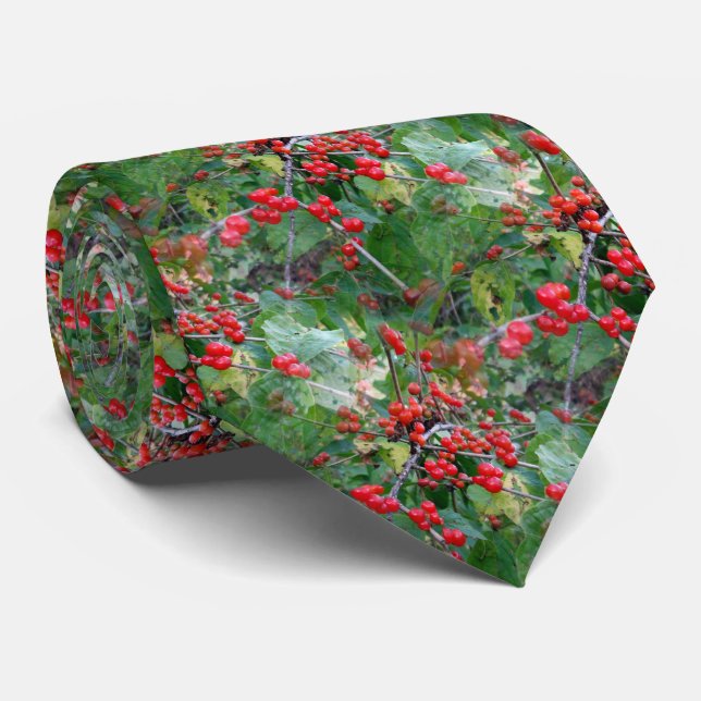 Thems la Cravate des Berries (Roulé)