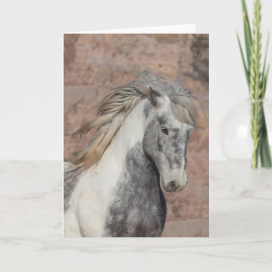 Theodore - Carte de voeux Galloping to Freedom