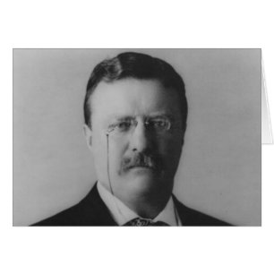 Theodore Roosevelt Portrait