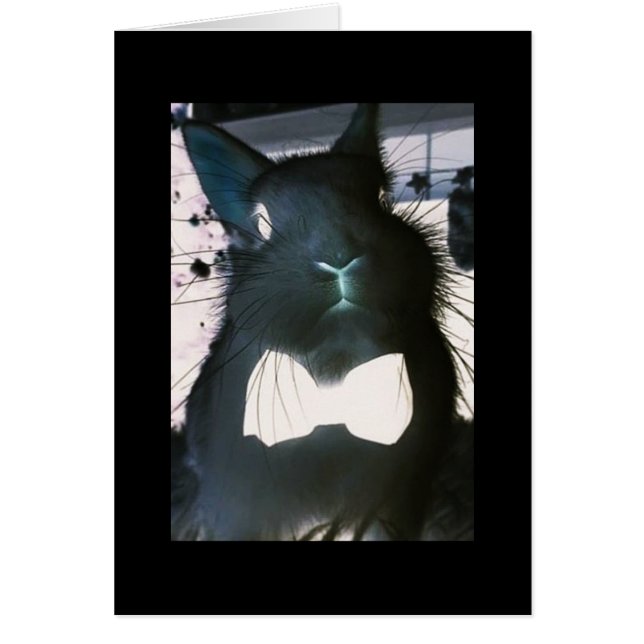 THIS CRAZY BUNNY MEANS "BUSINESS" **HAPPY EASTER** (Devant)