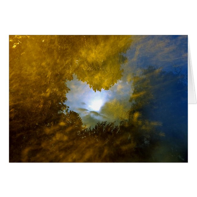 "thomas moran, vision à oeil fermé" (Devant horizontal)