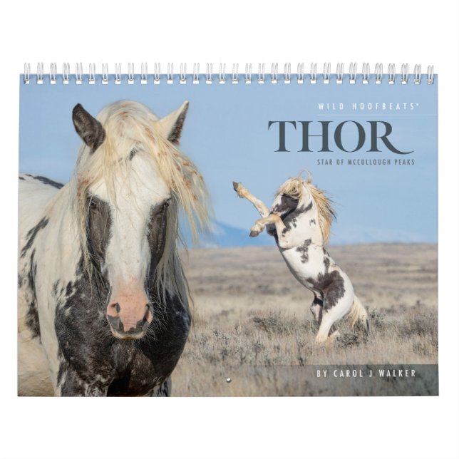 Thor, Calendrier des Chevaux Sauvages (Protection)