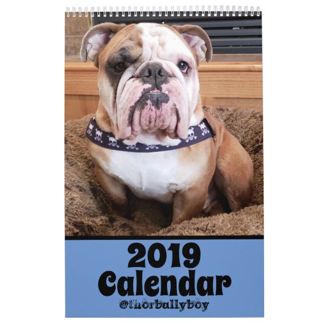 Thor le calendrier du bouledogue 2019 (Protection)