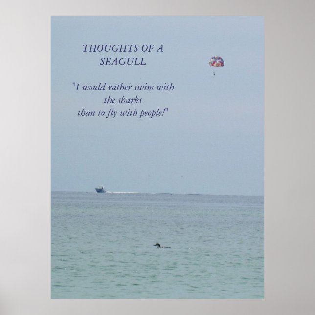 Thoughts of a Seagull 2 Poster (Devant)