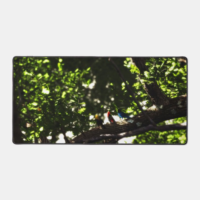 Three Little Birds (Recto)