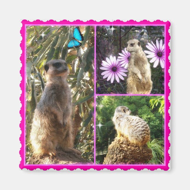 Three Meerkat Photo Collage, Fridge Magnet (Devant)