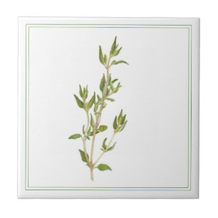 THYME FRAIS 4.25x4.25 Carreaux en céramique (-text