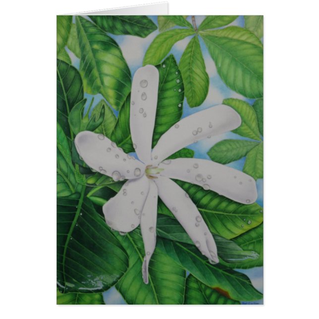 Tiare Tahiti (Devant)