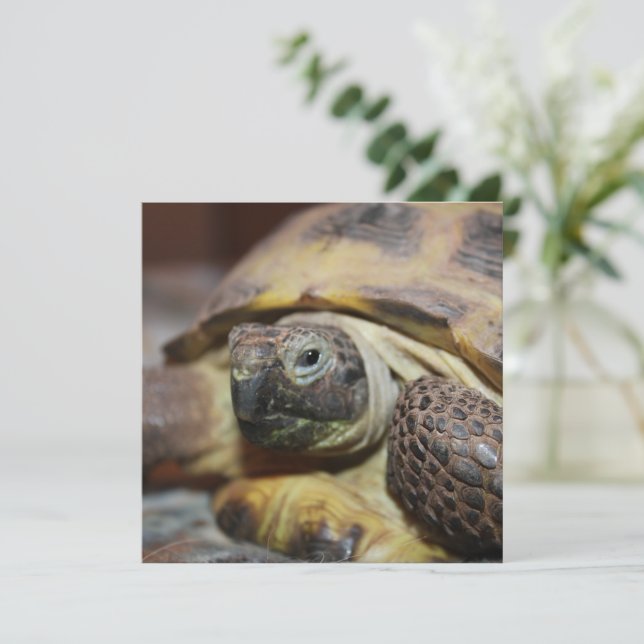 Tibbs (Debout devant)