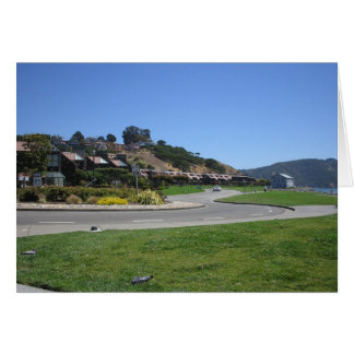 Tiburon