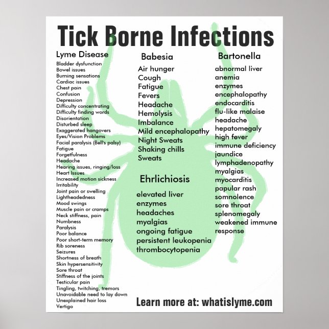 Tick Borne Infections Symptômes Poster éducatif (Devant)