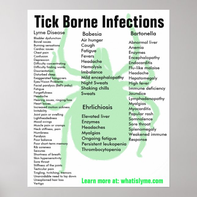 Tick Borne Infections Symptômes Poster éducatif (Devant)