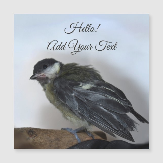 Tidi mon oiseau le Parus carte magnétique majeure (Devant)