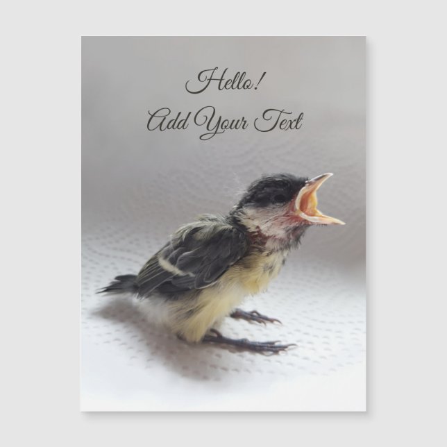 Tidi mon oiseau le Parus carte magnétique majeure (Devant)