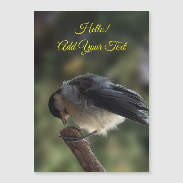 Tidi mon oiseau le Parus carte magnétique majeure (Devant)