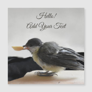Tidi mon oiseau le Parus carte magnétique majeure