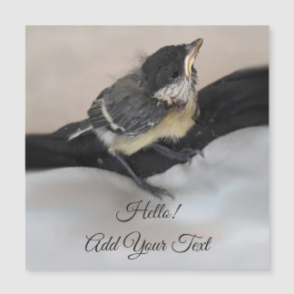 Tidi mon oiseau le Parus carte magnétique majeure