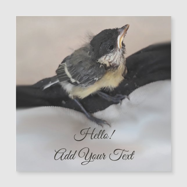 Tidi mon oiseau le Parus carte magnétique majeure (Devant)