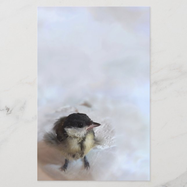 Tidi my Bird le Parus Major (Devant)