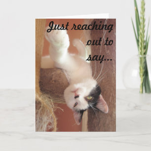 Tiens bon ! Carte de voeux de chat