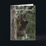 Tiens bon ! Carte Koala Australie<br><div class="desc">Rappelez à un ami, un membre de la famille ou un proche que les jours meilleurs arrivent. Cette carte d'encouragement comporte un koala suspendu dans un arbre avec le texte "accrochez-vous là". La photo à l'intérieur a un koala reposant heureux sur une branche d'arbre après l'avoir fait en haut. Le...</div>