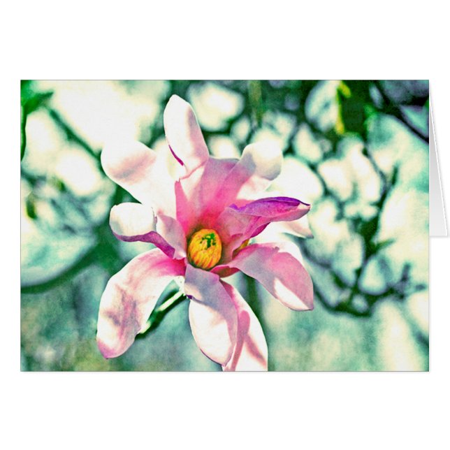 Tiffany Magnolia (Devant horizontal)