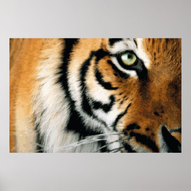 Tiger 2 - Poster (Devant)