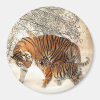 Tiger et son aimant pour bébé