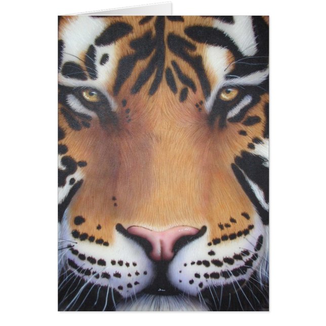 Tiger Portrait (Devant)