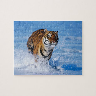 Tiger Puzzle