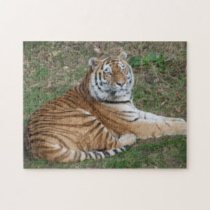 Tiger puzzle