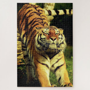 Tiger Puzzle