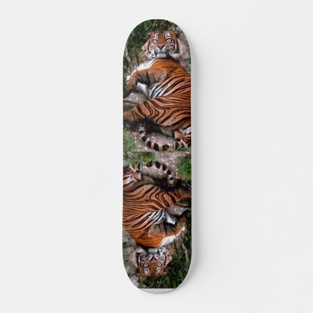 Tiger Skateboard (Devant)