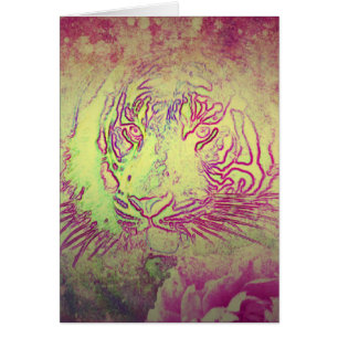 Tiger Spring Toutes les occasions