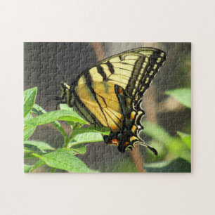 Tiger Swallowtail papillon Puzzle