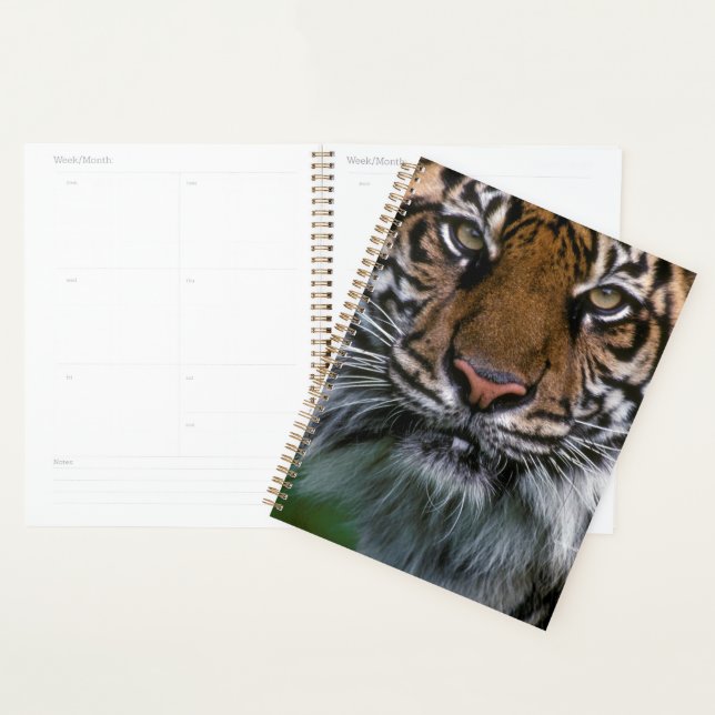 Tiger tête et visage (Devant avec enveloppe)