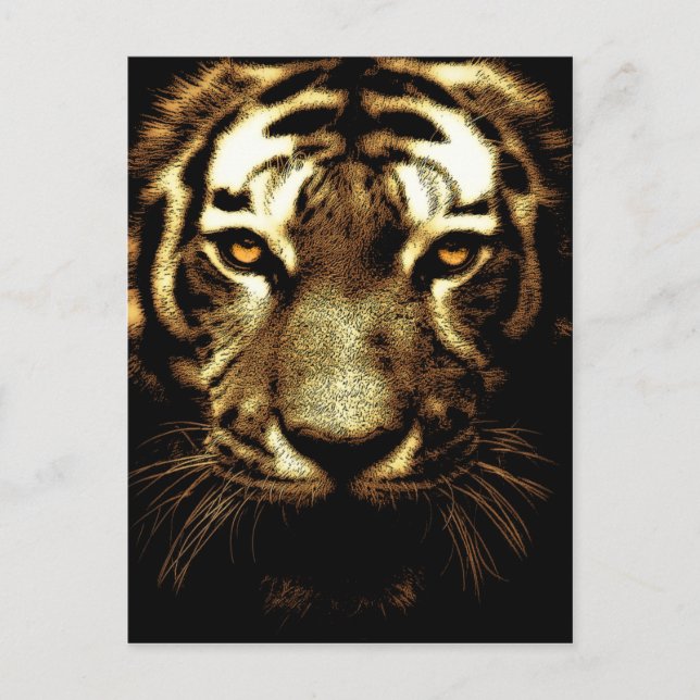 Tiger Visage animal sauvage Photo carte postale ve (Devant)
