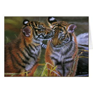 TIGERS AMOUREUX