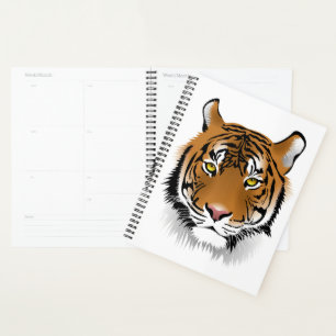 Tigre