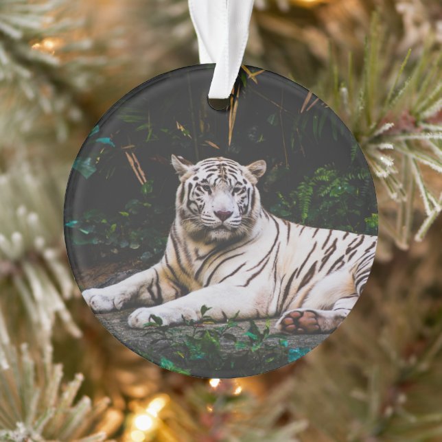 Tigre (Arbre)