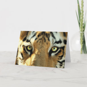 Tigre 1 - Carte de voeux