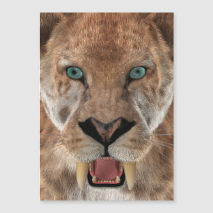 Tigre à dents de sabre ou Smilodon