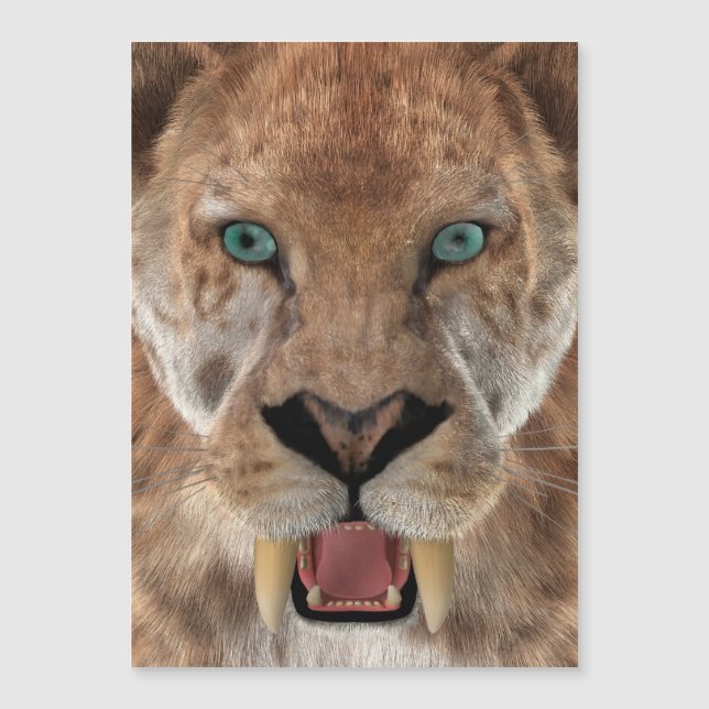 Tigre à dents de sabre ou Smilodon (Devant)