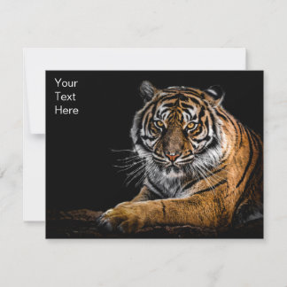 Tigre animal sauvage de la Jungle