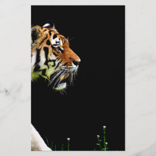 Tigre approchant - Oeuvres d'art d'animaux sauvage