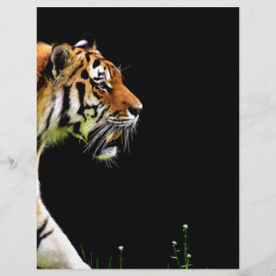 Tigre approchant - Oeuvres d'art d'animaux sauvage