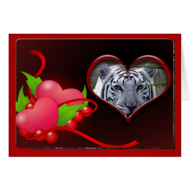 tigre blanc-00102-65x45 (Devant horizontal)