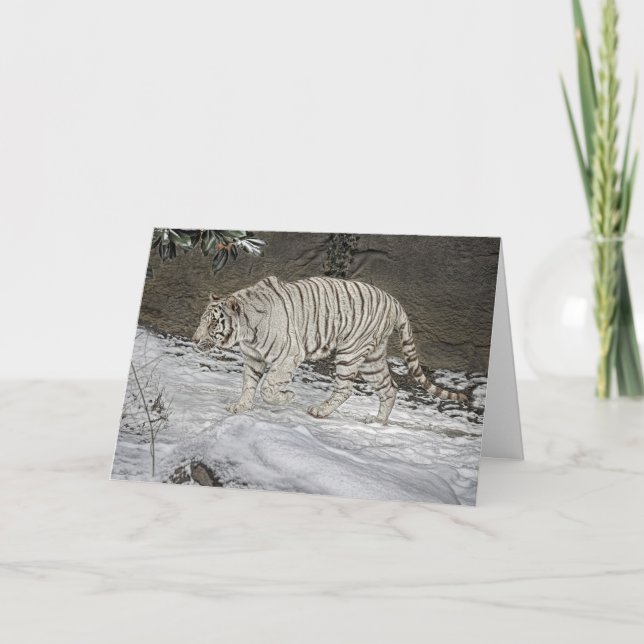 Tigre blanc égrappant dans la carte de vacances de (Devant)