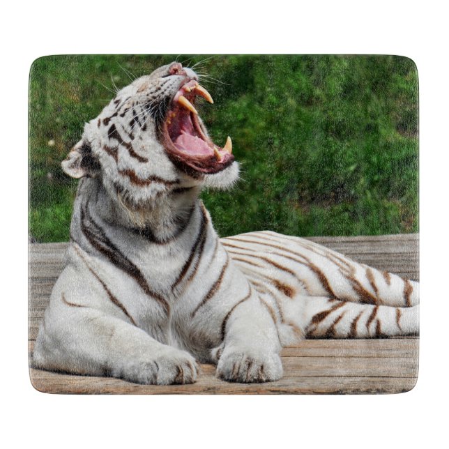 Tigre Blanc, Planche à Découper Tigre du Bengale (Devant)