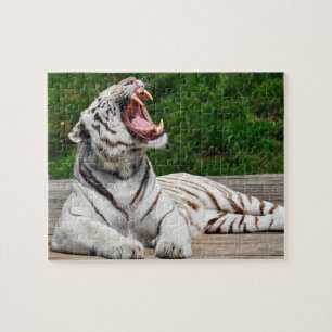 Tigre blanc, puzzle de tigre de Bengale